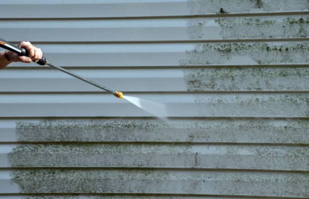 Best Deck Cleaning Services  in Rocky Mount, NC