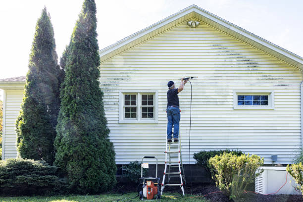 Best Exterior Home Cleaning  in Rocky Mount, NC